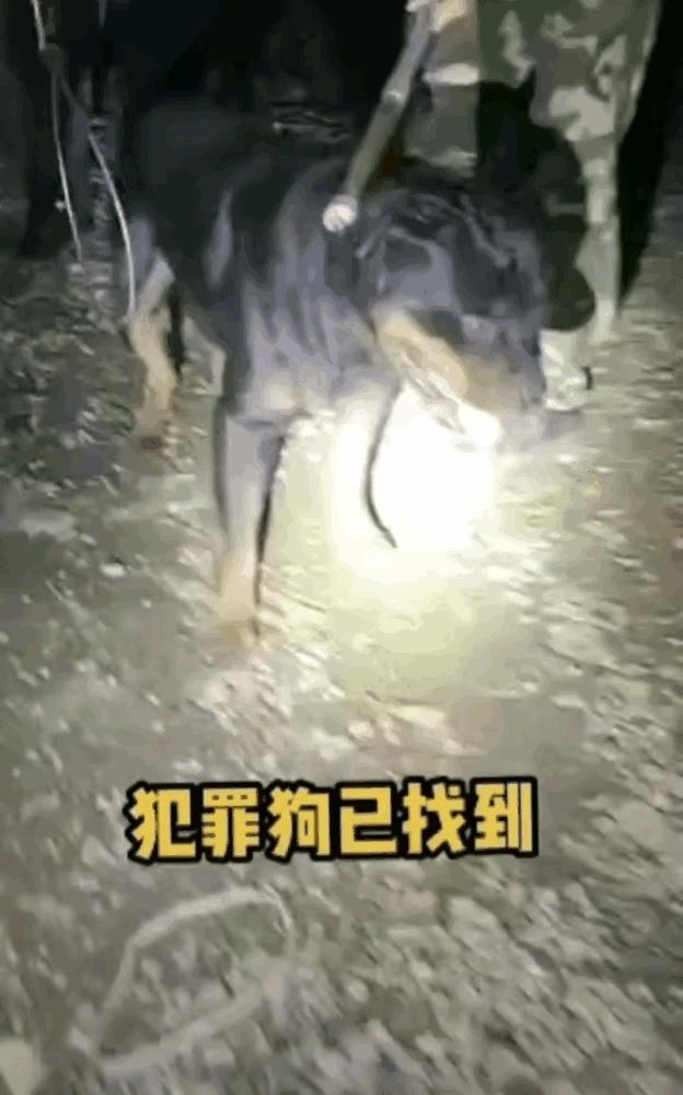 娱乐生活 第185页